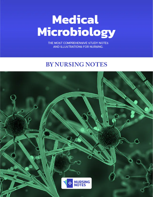 Medical Microbiology Study Notes