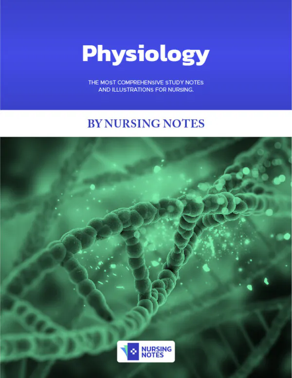 Physiology Study Notes for Nursing Students